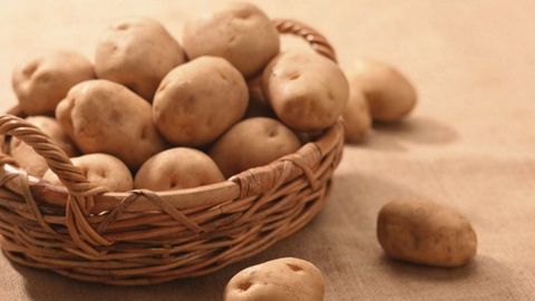 O‘zbekiston bozorlariga yana Tyumen kartoshkalari keltiriladi 