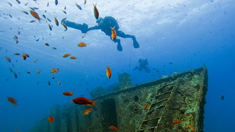 Грецияда болгариялик ғаввос аёл рекорд ўрнатиш вақтида ҳалок бўлди