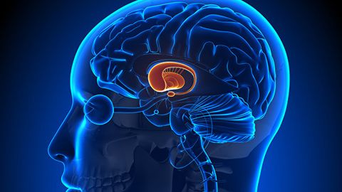 Олимлар 15 йил комада ётган одамни ҳаётга қайтарди