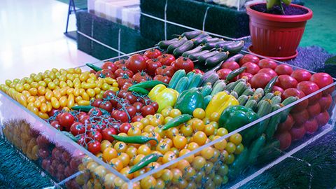O‘zbekiston va Rossiya o‘rtasidagi “yashil yo‘lak” yil oxirigacha to‘liq quvvatda ishga tushadi