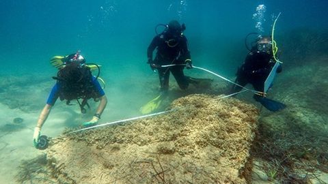 Tunisda suv ostidan qadimiy shahar topildi (video)