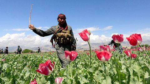 Dunyoning eng mehmondo‘st bo‘lmagan mamlakatlari reytingi tuzildi
