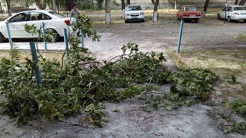 24-oktabr kuni O‘zbekiston bo‘ylab kuchli shamol kuzatiladi