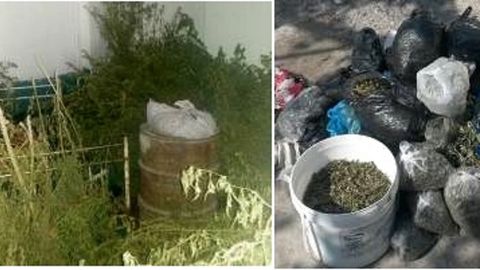 Toshloq tumanida qariyb 42 kg giyohvand moddani saqlayotgan shaxs aniqlandi