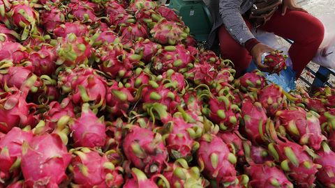 Ўзбекистон 2017 йилда Уралга мева етказиб беришни уч баробарга оширди