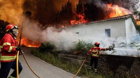 Португалия ва Испаниядаги ўрмон ёнғинларида 45 киши ҳалок бўлди