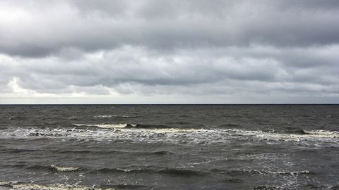 KXDR fuqarolari bo‘lgan yelkanli kema Rossiyadagi qo‘riqlanadigan hudud qirg‘og‘iga kelib qoldi