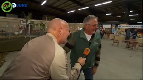 Niderlandiyalik fermer o‘z tovuqlarining qichqirig‘i kabi kuladi (video)