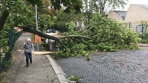 Germaniyaga yopirilgan “Ksaver” po‘rtanasi 4 kishining o‘limiga sabab bo‘ldi