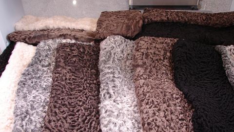 Xorijga qorako‘l terilarini deklaratsiyada ko‘rsatmagan holda sotishga uringan buxoroliklar aniqlandi