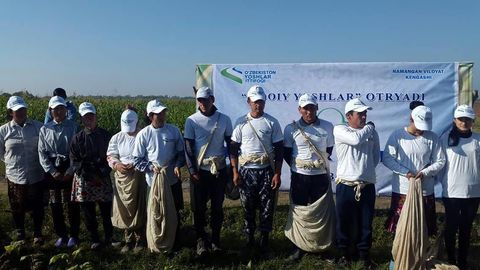 Namangan viloyati hokimi paxta terimiga yoshlarni rag‘batlantirish uchun 100 mln so‘m ajratishni va’da qildi