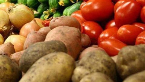 Toshkent shahri aholisi qishloq xo‘jalik va chorvachilik mahsulotlari bilan kafolatli ta’minlanadi