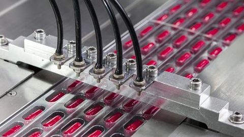 «Паркент-фарм» эркин иқтисодий зонасида кенг кўламли ишлар олиб борилмоқда