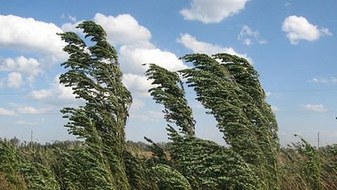 Favqulodda vaziyatlar vazirligi kuchli shamol haqida ogohlantirdi
