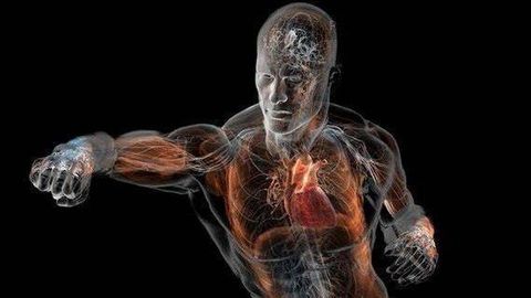 Odam organizmi haqida 5 ta qiziq fakt