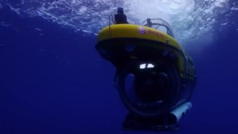 BBC журналистларига сув остида акула ҳужум қилди (видео)