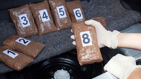 Колумбияда мамлакат тарихидаги энг йирик наркотиклар туркуми мусодара этилди