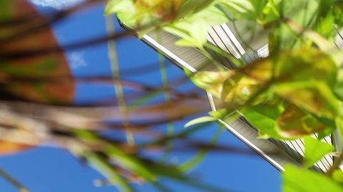 Самолётдан тушиб кетган телефон ўзининг парвози ва қўнишини тасвирга олди (видео)