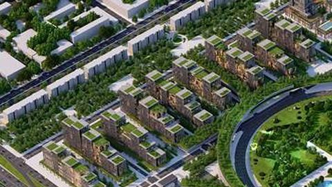 Tashkent City’даги уйлар томида дарахтзорлар барпо этиладими?