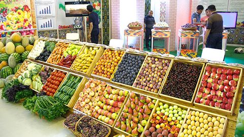 Жорий йилда 724 минг тонна ҳўл мева четга сотилди ва 856 миллион доллар валюта кирими амалга ошди