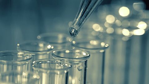 AQShda o‘zi tayyorlagan zaharni qo‘shnilarida sinab ko‘rgan 70 yoshli ayol qo‘lga olindi