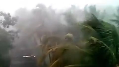 Hindistonda siklon tufayli 20 kishi halok bo‘ldi (video)