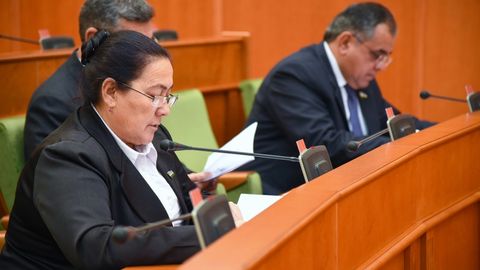 Senatorlar soliq ma’muriyatchiligi takomillashtirilishi munosabati bilan ayrim qonun hujjatlariga o‘zgartishlar kiritishni ma’qulladi