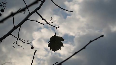 15-dekabr kuni O‘zbekistonda qanday ob-havo kutilmoqda?