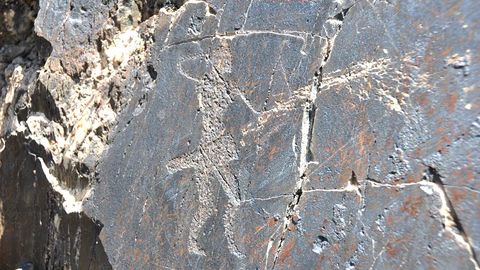 Surxondaryo viloyatida yangi ekoturistik yo‘nalish ochiladi