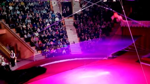 Гомель циркида 20 ёшли гимнасти қиз трюк бажариш чоғида қулаб тушди (видео)