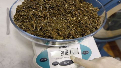 Ohangaronda 2,5 kg marixuana olib ketayotgan shaxs qo‘lga olindi