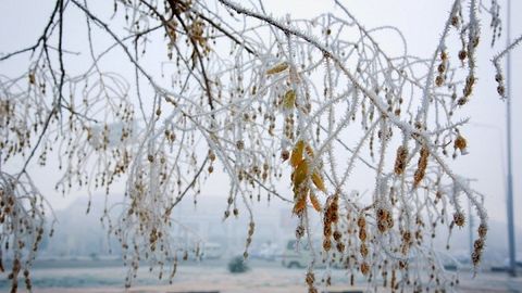 4—5 январь кунлари Ўзбекистон ҳудудига Кавказдан нам ва совуқ ҳаво массаси кириб келади