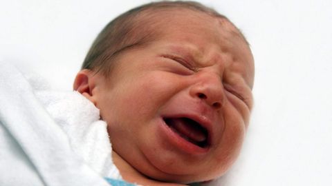 Surxondaryoda chaqalog‘ini 5 mln so‘mga sotmoqchi bo‘lgan ayol qo‘lga olindi