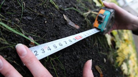 Jizzaxda “zaxiraga olingan” yerni 12 million evaziga qaytarib olib berishni va’da qilgan “hojatbaror” firibgar qo‘lga olindi