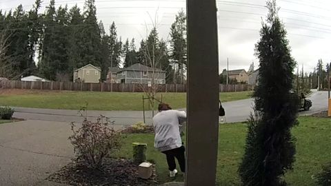 АҚШда бегона кишининг уйи олдидаги жўнатмани ўғирламоқчи бўлган аёл оёғидан жароҳат олди (видео)