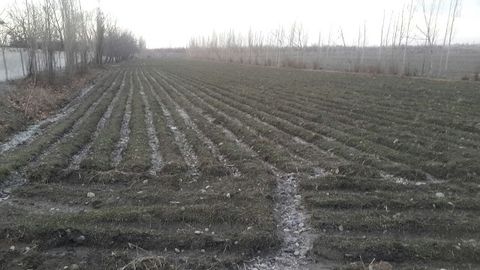 Jizzaxda fermer musht ko‘tardi