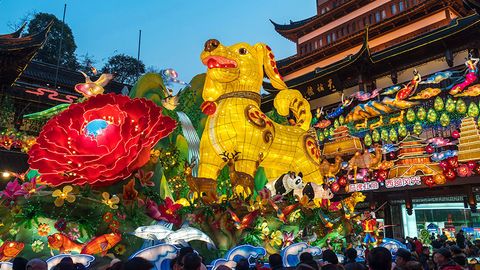 Шавкат Мирзиёев Си Цзиньпинни Хитой Янги йил байрами билан табриклади