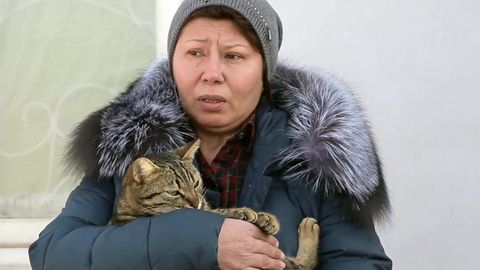 Пахтакорликлар видеомурожаат орқали шаҳарда жониворларни қиришни бас қилишни сўради (видео)