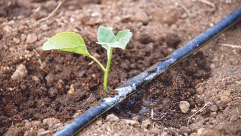 Ўзбекистонда 2017 йили сувдан фойдаланиш қоидаларини бузган шахслардан 600 млн сўмдан ортиқ жарима ундирилди