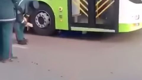 Тошкентда ҳайдовчи жарима тўламаслик учун автобус тагига ётиб олди (видео)