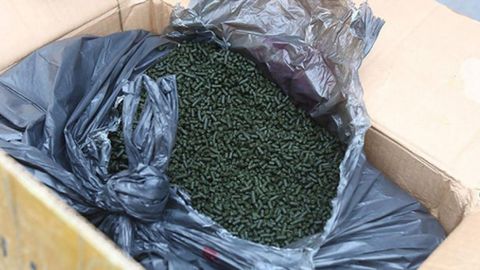 Rossiyada mamlakatga 44 tonna nosvoy olib kirishga uringan O‘zbekiston fuqarosiga hukm chiqarildi
