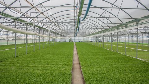 Бухоронинг Пешку туманида 11 та кам таъминланган оилага иссиқхона қуриб берилмоқда