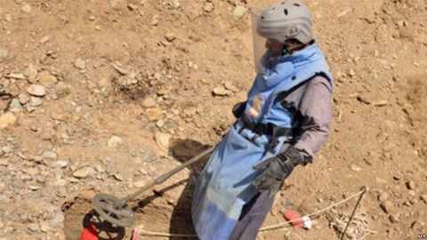 O‘zbekiston va Tojikistonning chegaraoldi hududlarida 2020-yilgacha muhandislik to‘siqlari uchastkalari zararsizlantiriladi