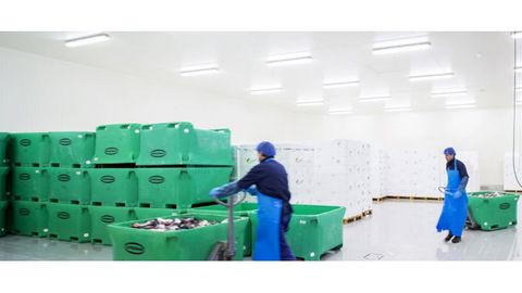 Niderlandiya kompaniyasi Farg‘onada uchta sovitish omborini quradi