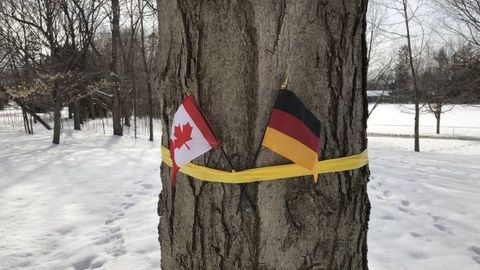 ОАВ: Канадада Бельгия қиролининг ташрифи чоғида Бельгия байроғи Германия байроғи билан адаштириб юборилди