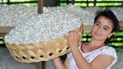 O‘zbekiston Prezidentining “Pillachilik tarmog‘ini yanada rivojlantirish bo‘yicha qo‘shimcha chora-tadbirlar to‘g‘risida”gi qarori qabul qilindi