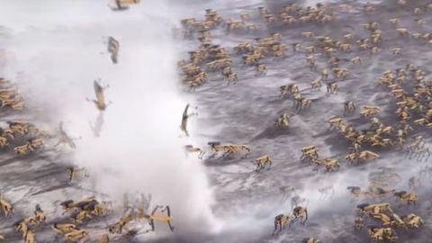 Video: “Mashinalar qo‘zg‘oloni” oqibatlari