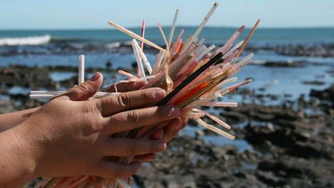 Буюк Британияда 2019 йилдан бошлаб пластик найчалар ва қулоқ тозалагичларни тақиқлаш режалаштирилмоқда