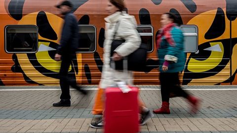 Rossiyaga noqonuniy ravishda kirib yashayotgan ikki nafar o‘zbekistonlik qiz qo‘lga olindi