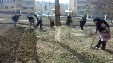 Ўқитувчини кўча тозалашга ҳайдаётганлардан ким ҳимоя қилади?